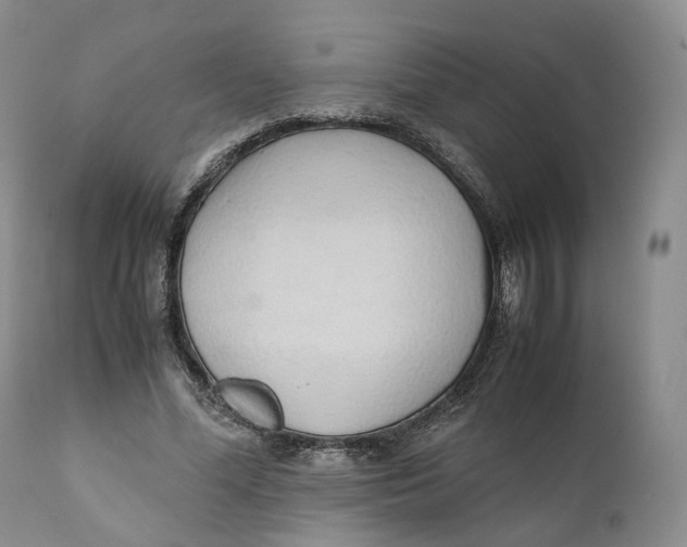 X0000110770588200907061121