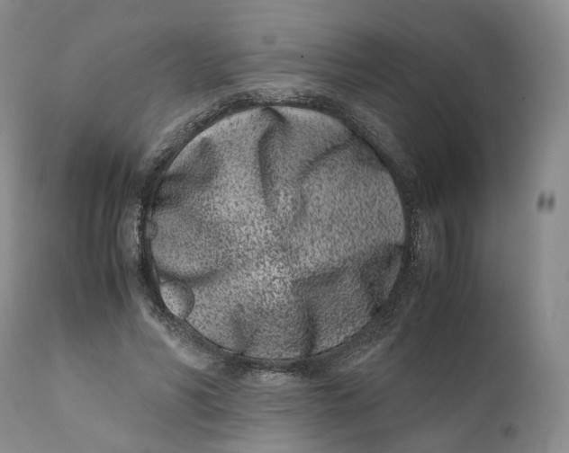 X0000110770590200907061121