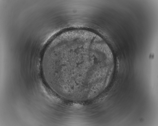 X0000110770592200907061121