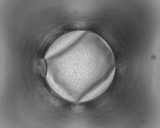 X0000110770593200907061121