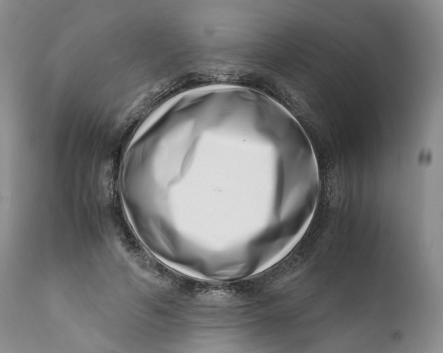 X0000110770594200907061121