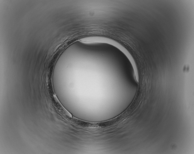 X0000110770595200907061121