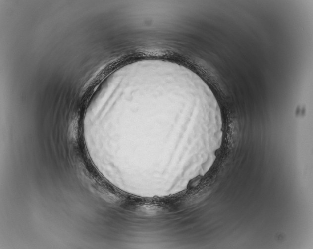 X0000110770596200907061120