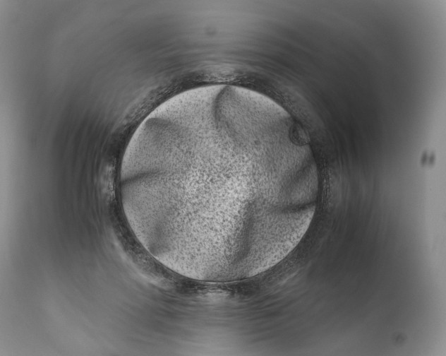 X0000110770598200907061120