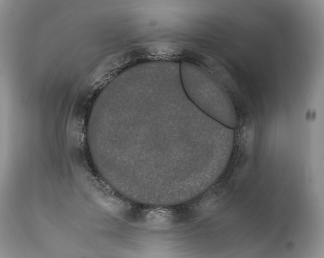 X0000110770599200907061120