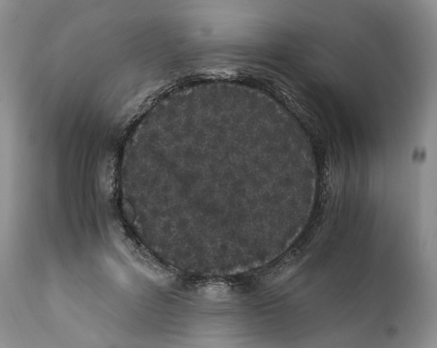 X0000110770600200907061120