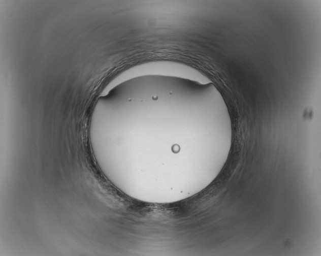 X0000110770601200907061120