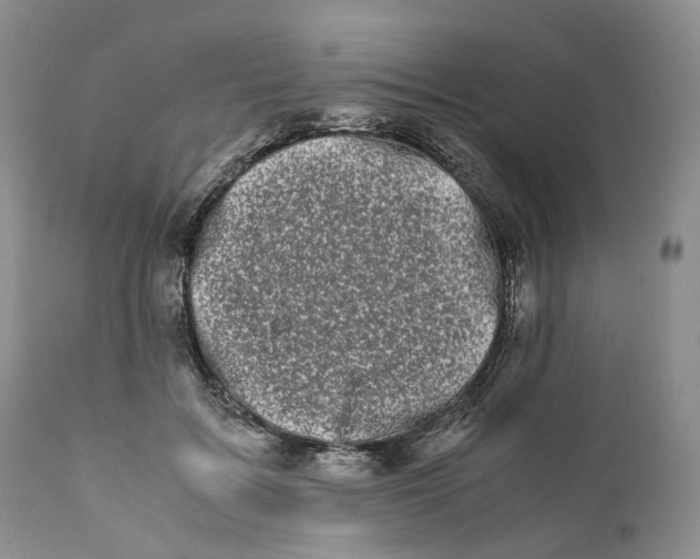 X0000110770603200907061120