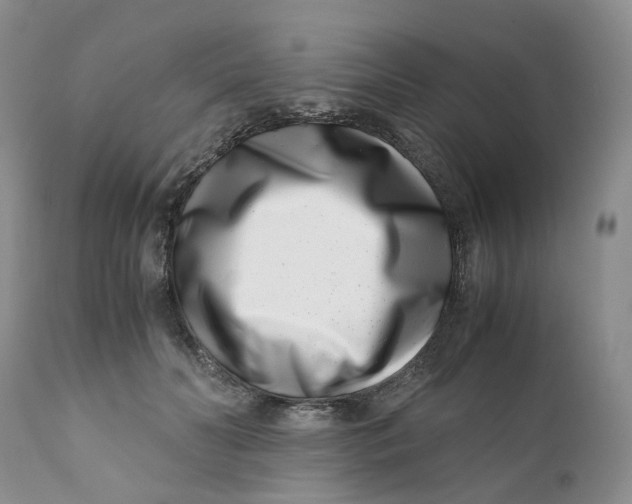 X0000110770606200907061120