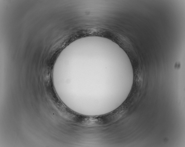 X0000110770607200907061120