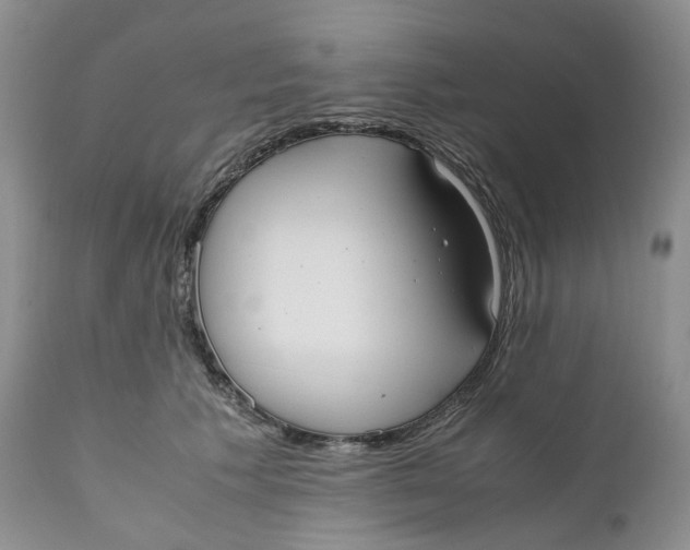 X0000110770609200907061120