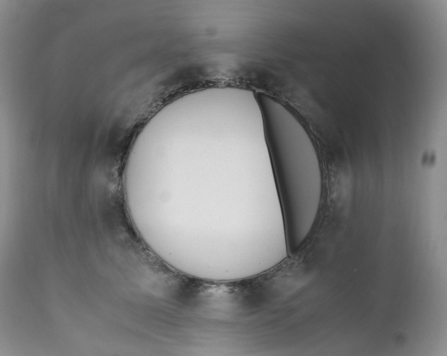 X0000110770611200907061120