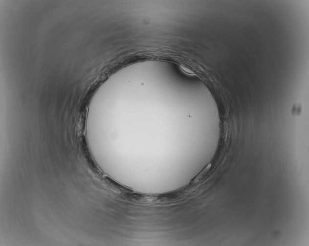 X0000110770613200907061120