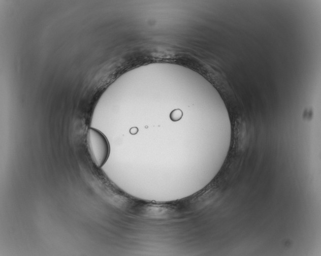 X0000110770614200907061120