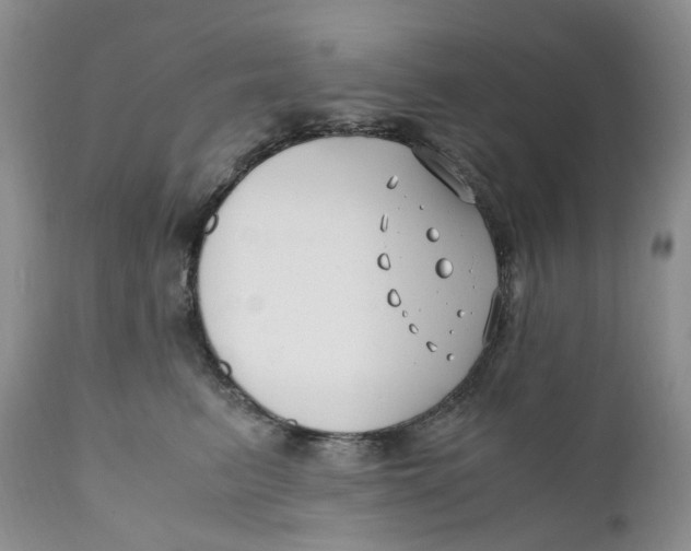 X0000110770615200907061120