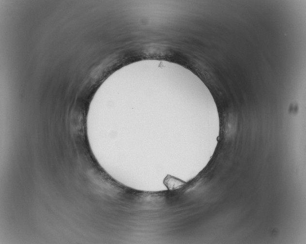 X0000110770619200907061120