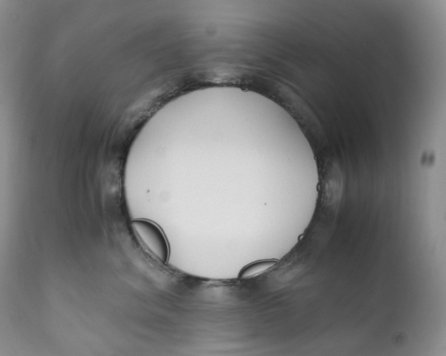 X0000110770620200907061120