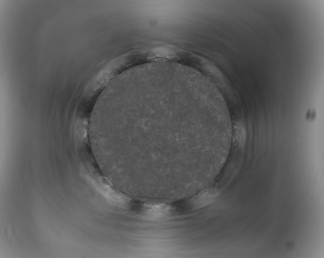 X0000110770621200907061120