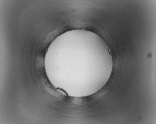 X0000110770623200907061120