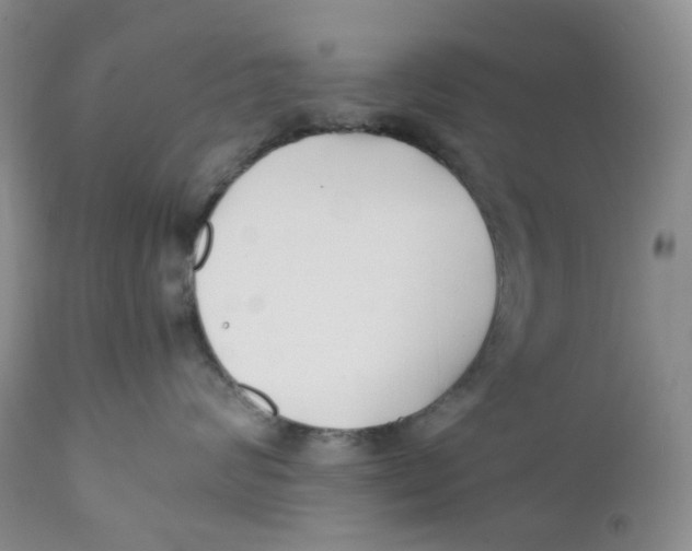 X0000110770624200907061120