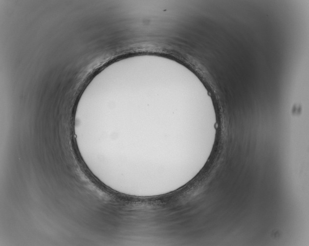 X0000110770625200907061119