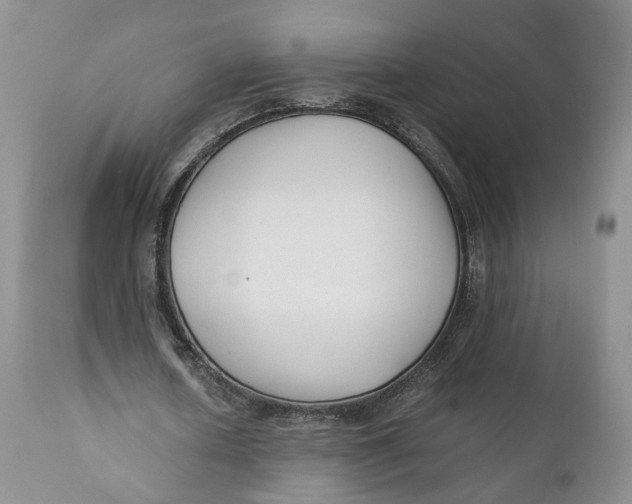 X0000110770626200907061119