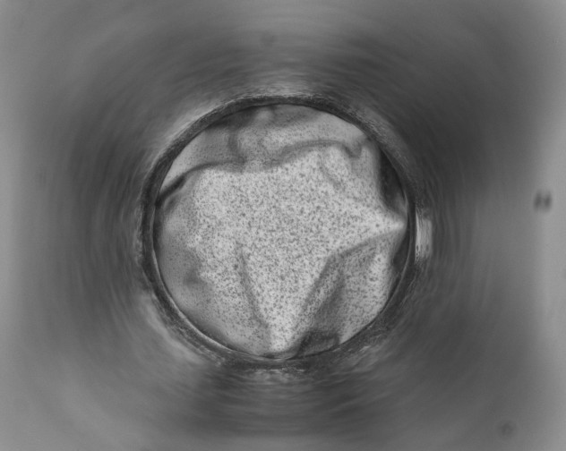 X0000110770627200907061119