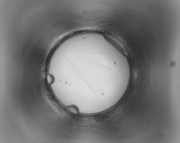 X0000110770628200907061119