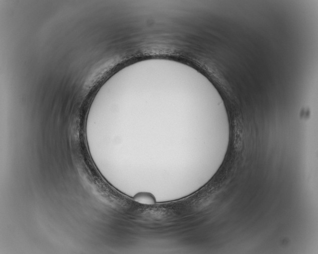 X0000110770631200907061120