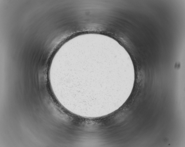 X0000110770632200907061120