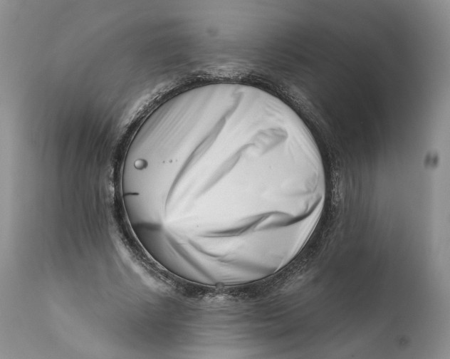 X0000110770634200907061120