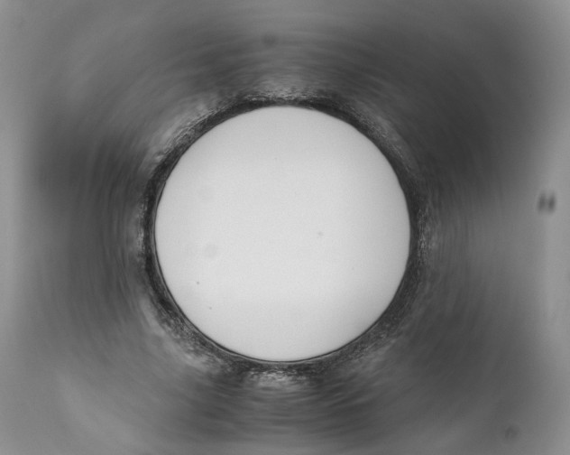 X0000110770635200907061120