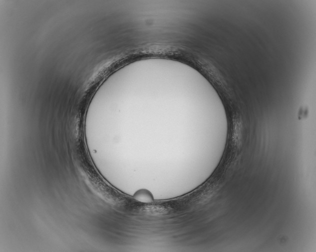 X0000110770636200907061120