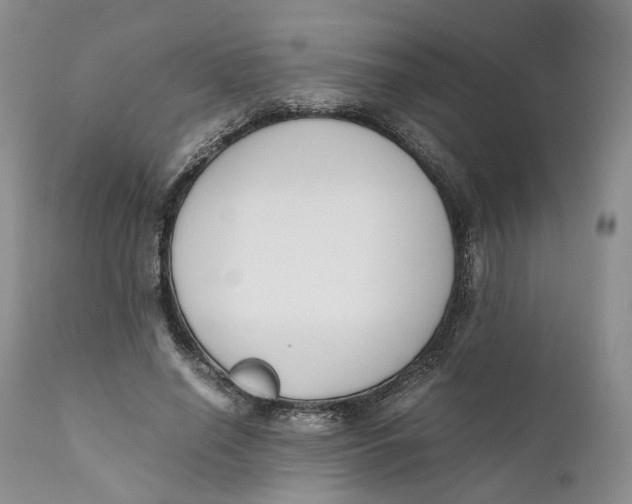 X0000110770638200907061120