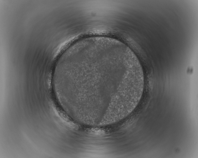 X0000110770640200907061120