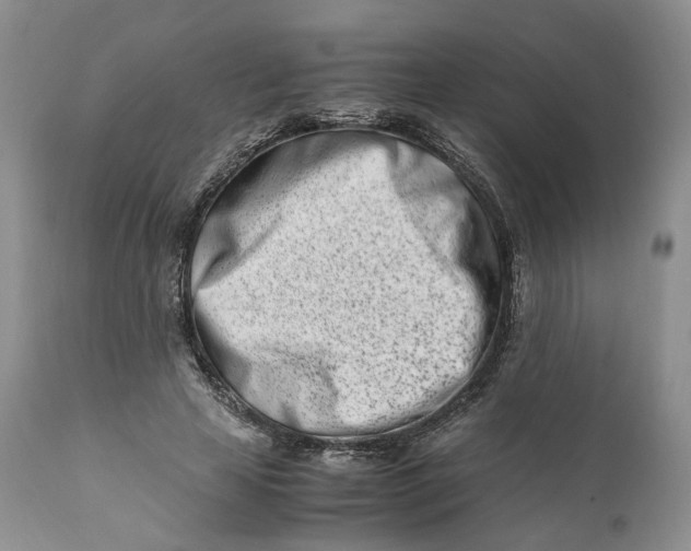 X0000110770641200907061120