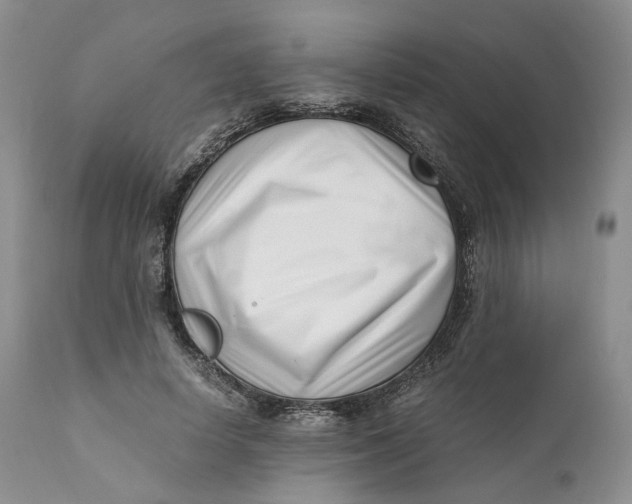 X0000110770642200907061120