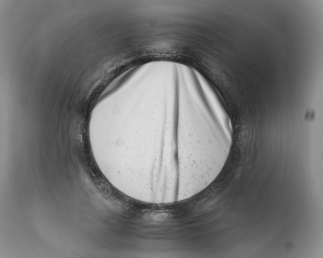 X0000110770643200907061120