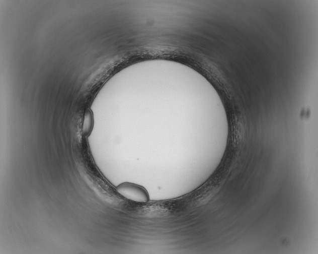 X0000110770644200907061120