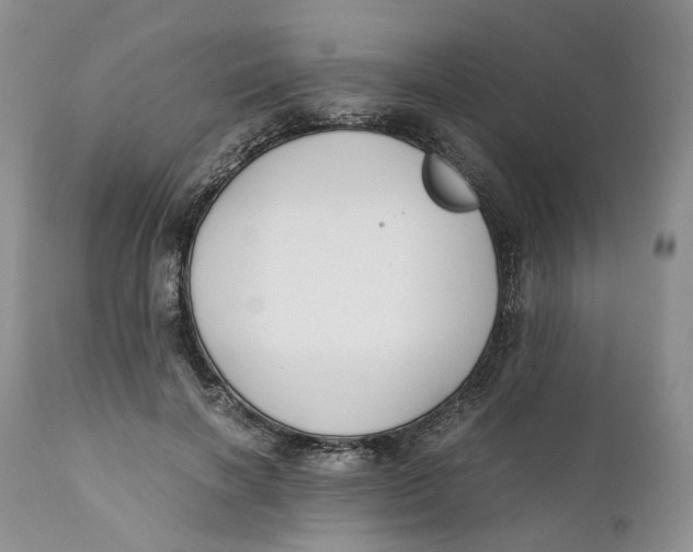 X0000110770646200907061120