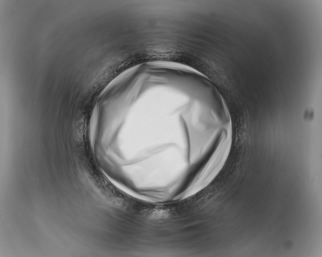 X0000110770647200907061120