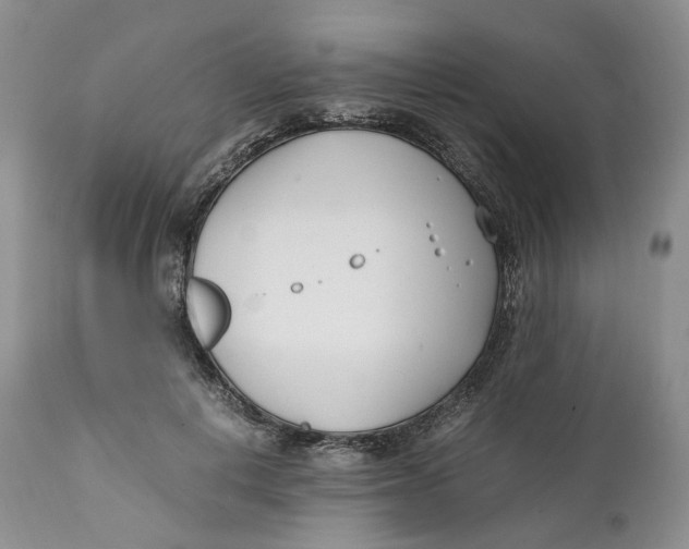 X0000110770648200907061120