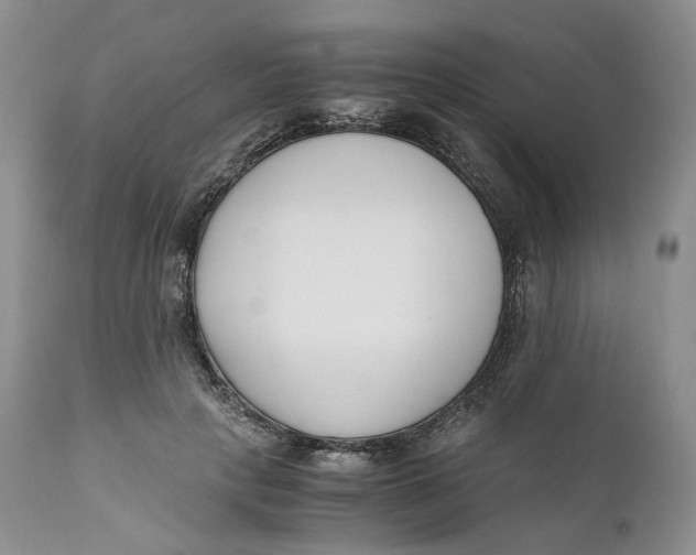 X0000110770649200907061120