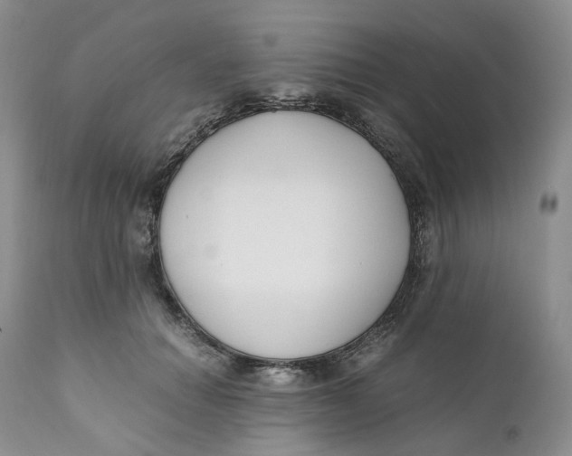 X0000110770654200907061120