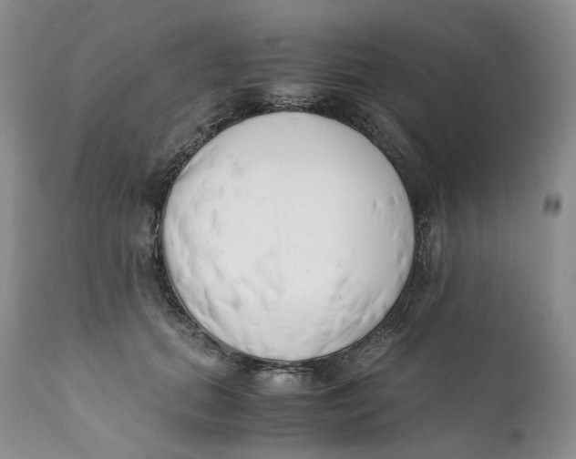 X0000110770655200907061120