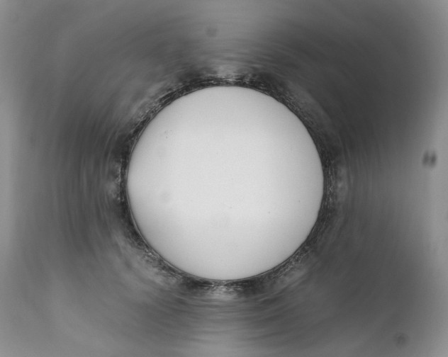 X0000110770656200907061120