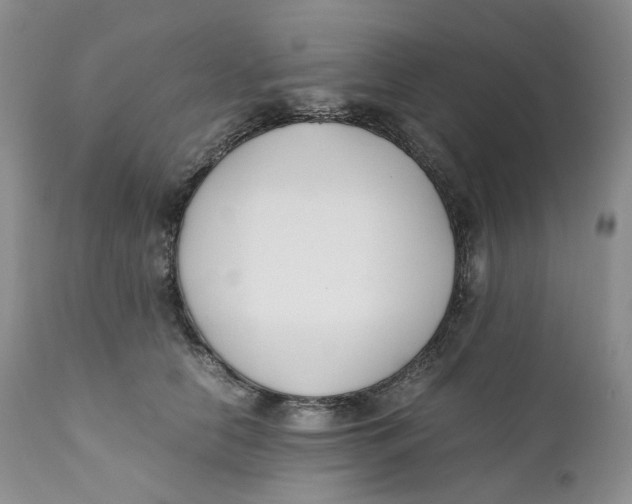 X0000110770658200907061120