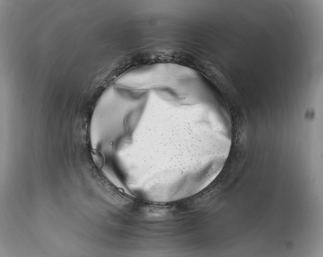 X0000110770661200907061120