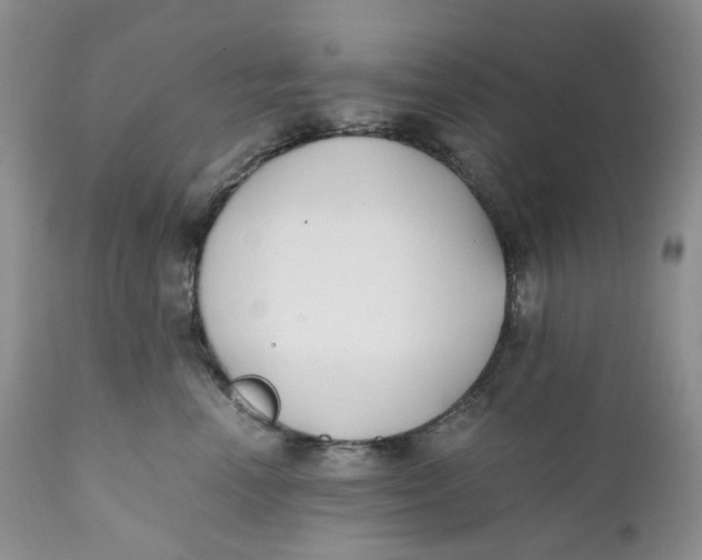 X0000110770666200907061120