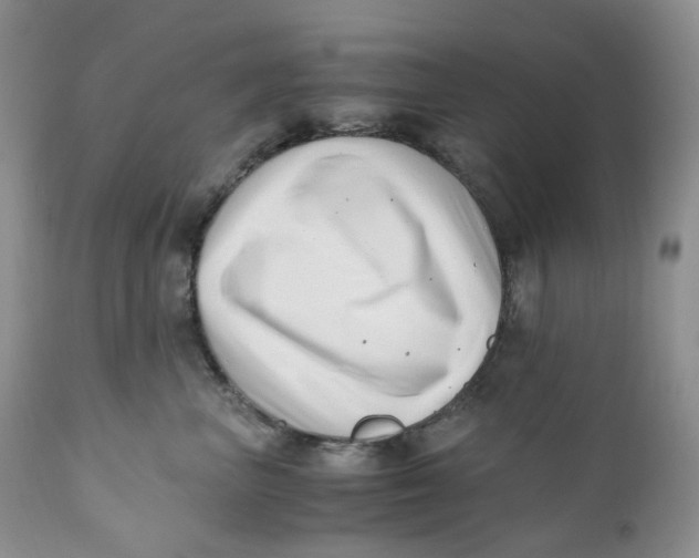 X0000110770667200907061120